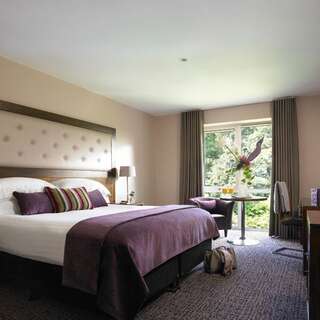 Отель Dunboyne Castle Hotel & Spa Данбойн Двухместный номер Делюкс с 1 кроватью-4